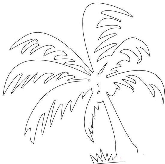 海南椰子树简笔画