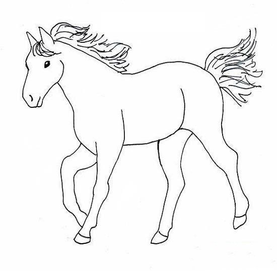 动物简笔画：马