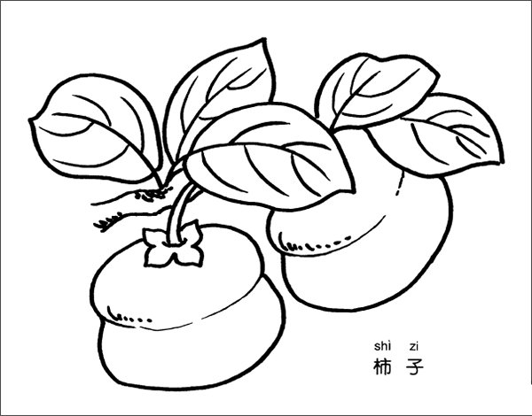 柿子简笔画