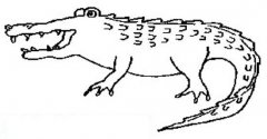 凶恶的大鳄鱼简笔画图片