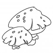 少儿蘑菇简笔画：两支蘑菇