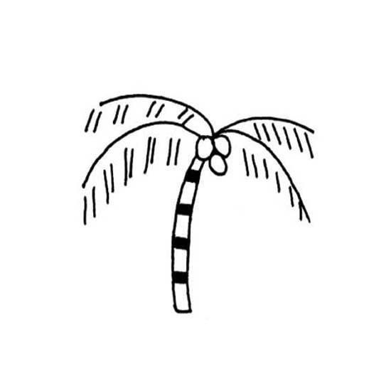 椰子树简笔画图片