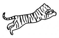 小学生老虎简笔画图片：扑食的老虎