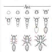 蚂蚁简笔画的画法图示