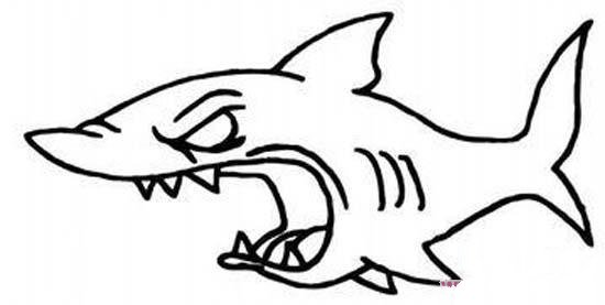 凶恶的鲨鱼简笔画图片