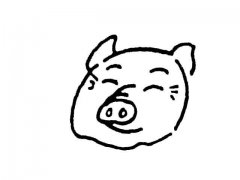 猪头简笔画图片