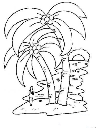 沙滩椰子树简笔画大全
