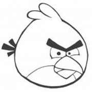 愤怒的小鸟简笔画图片