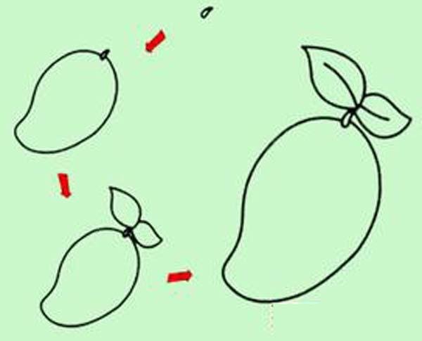 芒果的简笔画画法步骤：怎么画芒果
