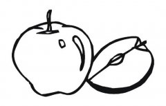 关于苹果的简笔画图片