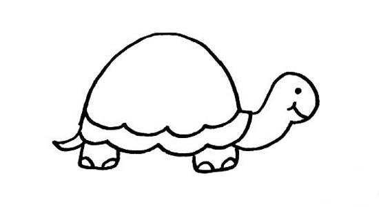 儿童乌龟简笔画图片