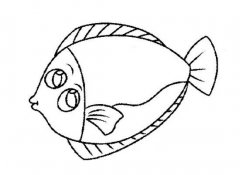 鱼的简笔画：比目鱼