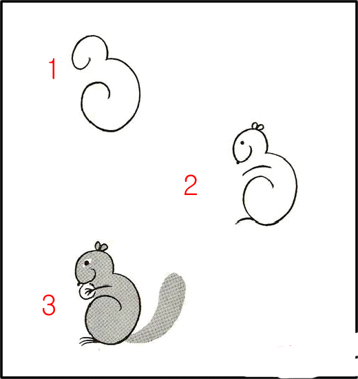 松鼠简笔画画法步骤：如何画松鼠