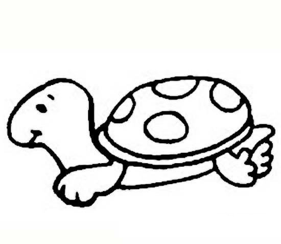 可爱的小乌龟简笔画