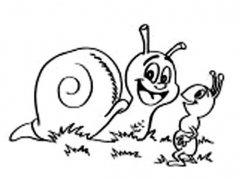 儿童卡通简笔画大全：蜗牛与蚂蚁