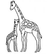 一对长颈鹿母子简笔画