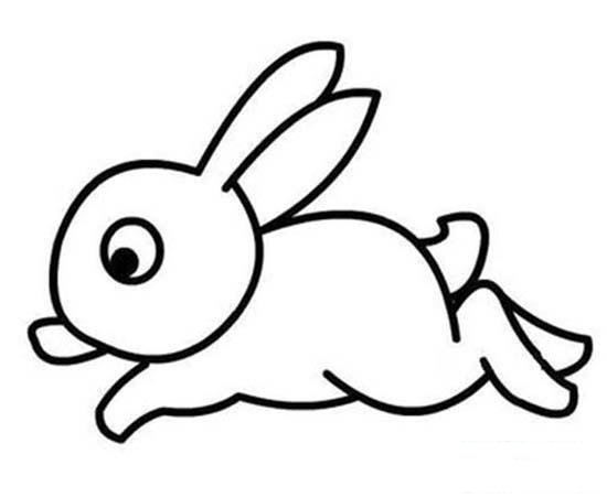 少儿关于奔跑的小白兔简笔画图片大全