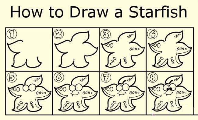 海星简笔画画法教程：如何画海星