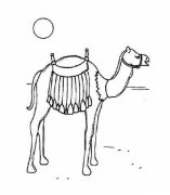 沙漠中的骆驼简笔画图片