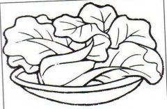 儿童简笔画：盘子里的大白菜