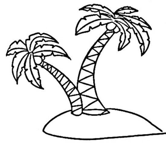 幼儿简笔画：椰子树