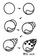 贝壳简笔画的画法：怎么画贝壳