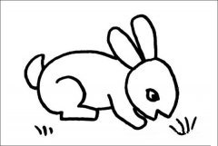 小兔简笔画