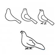 和平鸽简笔画画法教程