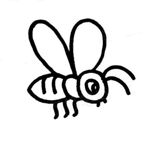幼儿简笔画蜜蜂