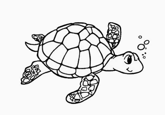 海洋生物简笔画：乌龟
