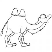幼儿骆驼简笔画图片