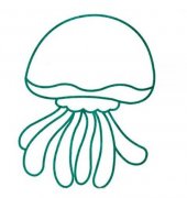 海洋生物简笔画：水母