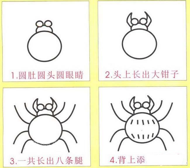 蜘蛛简笔画画法步骤：怎么画蜘蛛
