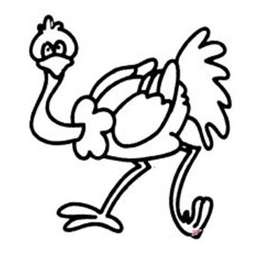 可爱卡通鸵鸟简笔画图片