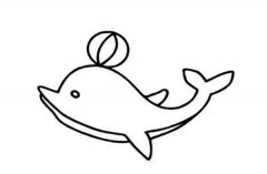 游乐场水上表演的海豚简笔画