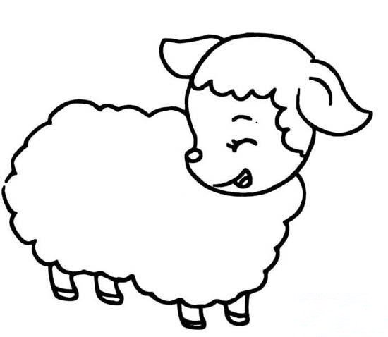 可爱卡通小绵羊简笔画