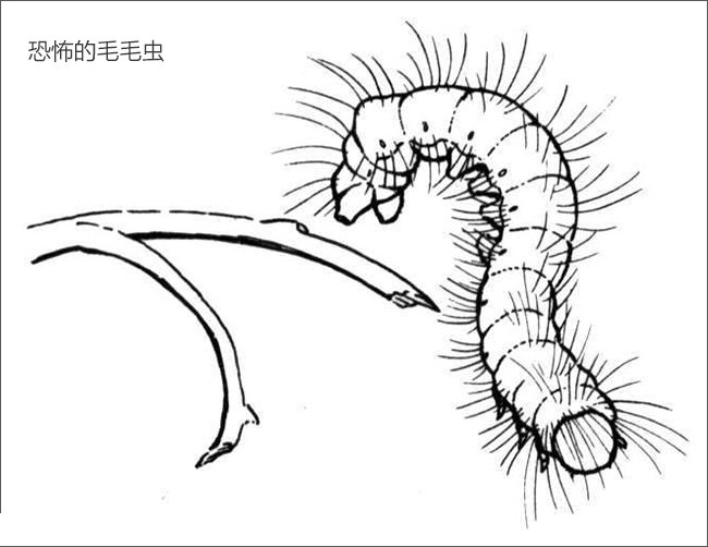 恐怖的毛毛虫