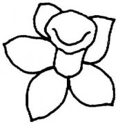 水仙花花朵简笔画图片