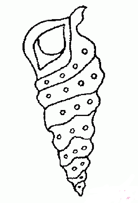 尖尖长长的海螺简笔画图片