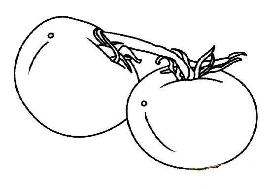 儿童简笔画:两个番茄