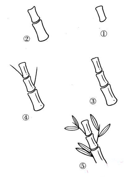 幼儿竹子简笔画教程图解:如何画竹子