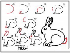 怎样画小白兔简笔画