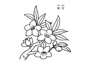 桃花简笔画