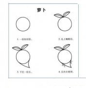 怎样画萝卜简笔画教程