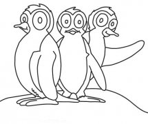 三只企鹅简笔画