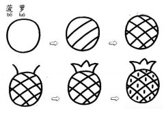菠萝的简笔画画法步骤图：怎么画菠萝