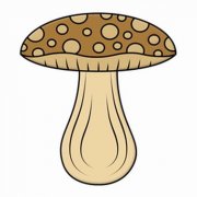 涂色蘑菇简笔画