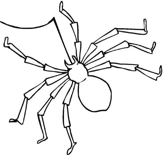 儿童毒针蜘蛛简笔画图片