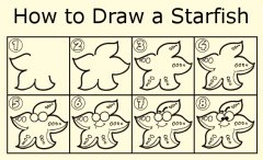 如何画海星