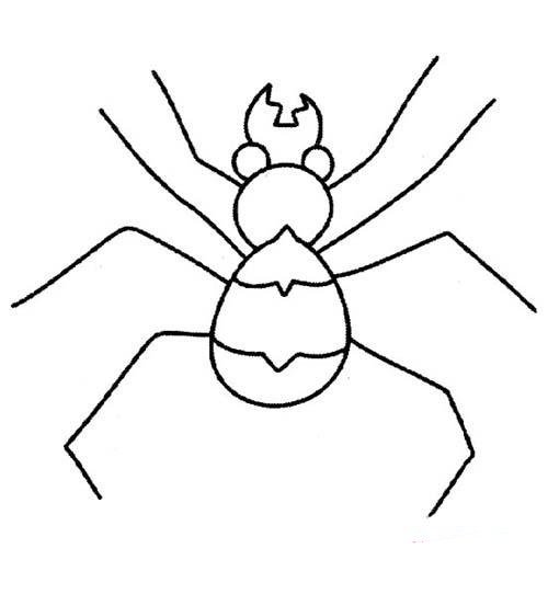 儿童蜘蛛简笔画图片